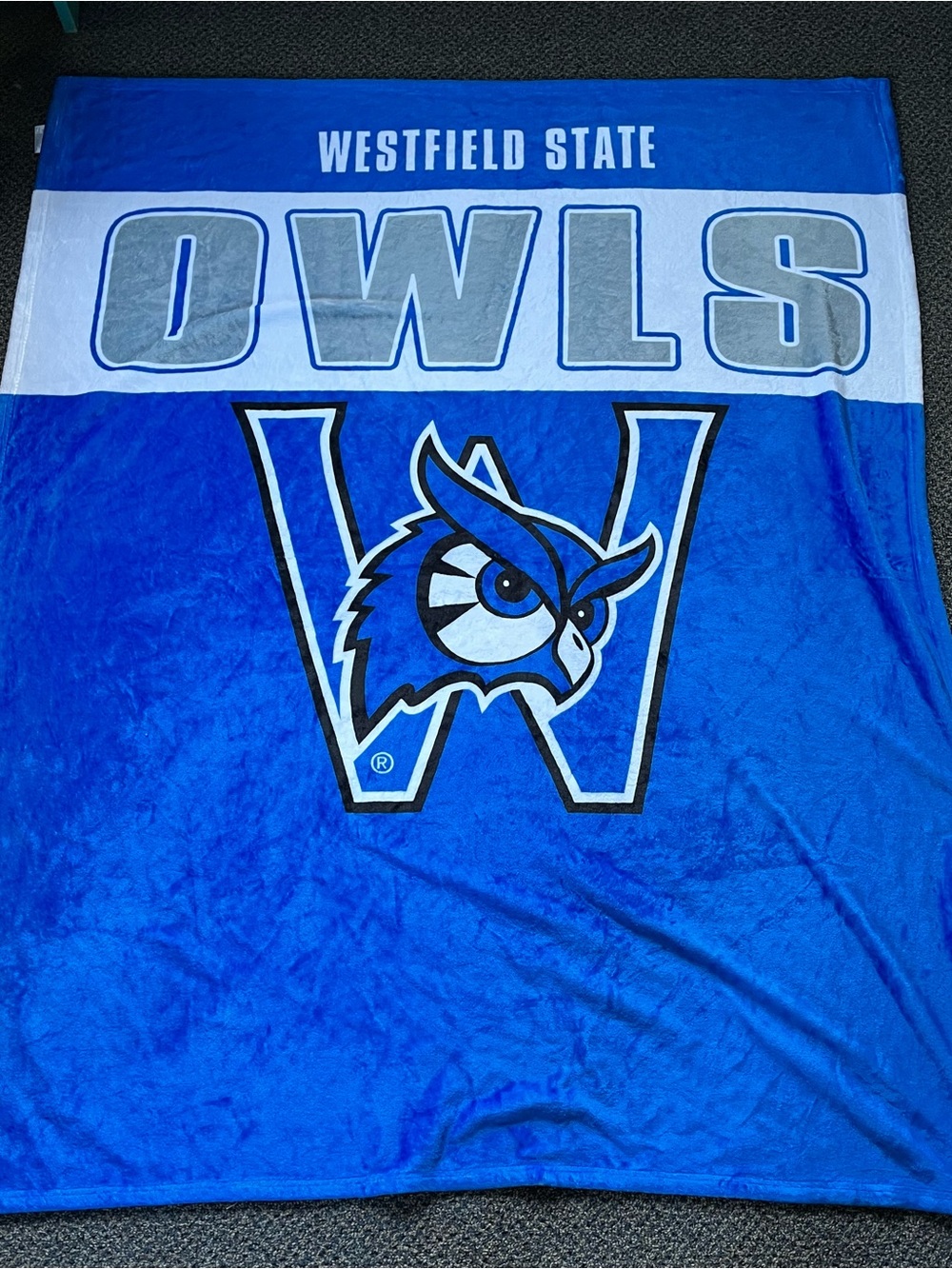 Westfield State Owls Blue Plush Throw Blanket
